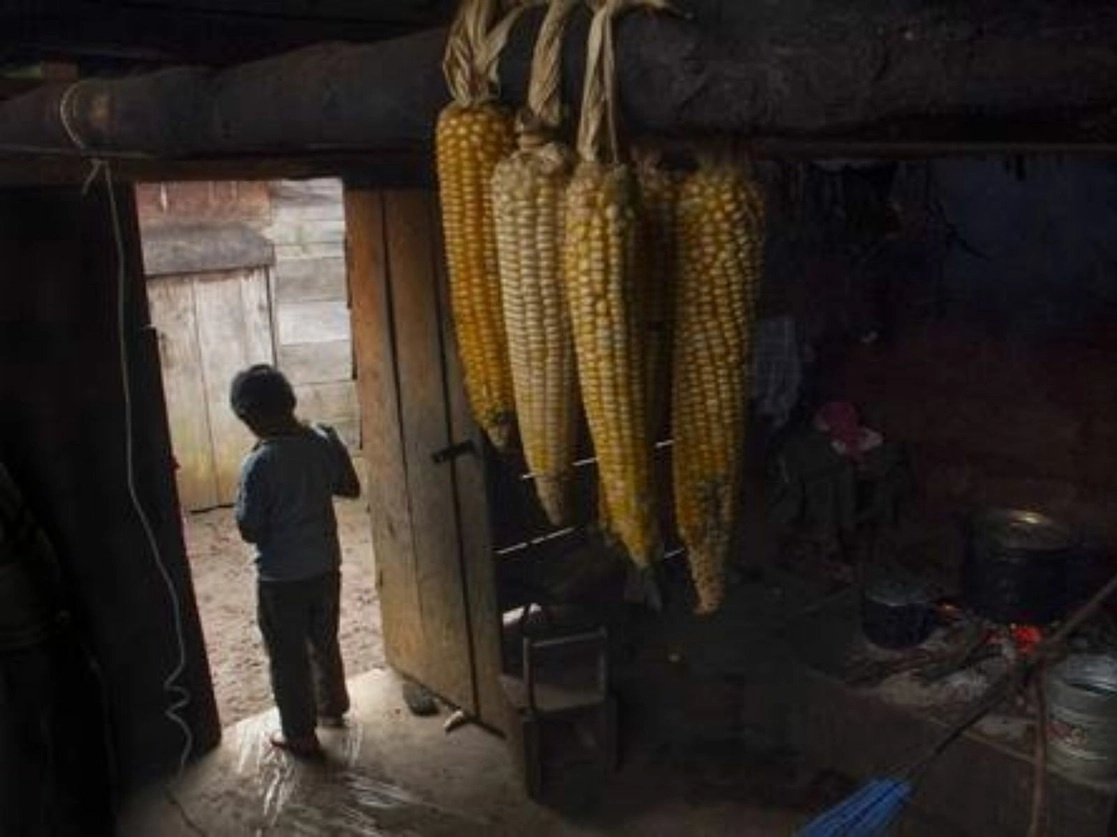 Una vivienda de Chanal, Chiapas, uno de los municipios más pobres del país. Foto Moysés Zúñiga Santiago / Archivo