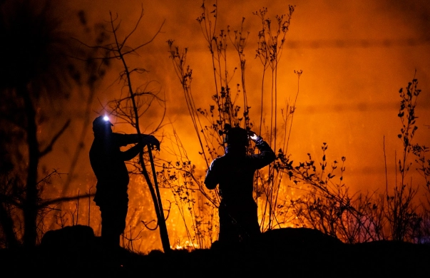 Incendio forestal en Lomas de Santamaría. Foto Secretaría de Medio Ambiente de Michoacán