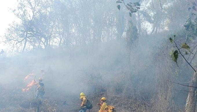 Brigadistas de la Conafor trabajar en sofocar los incendios registrados en varias zonas boscosas del país. Foto @CONAFOR