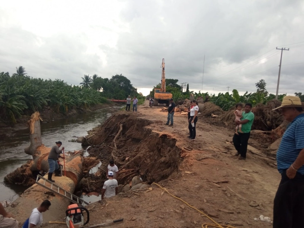 Las lluvias en Chiapas han provocado daños en 44 municipios y afectaciones a casi 12 mil hectáreas de cultivos, informó la Secretaría de Protección Civil Estatal. Foto ‘La Jornada’