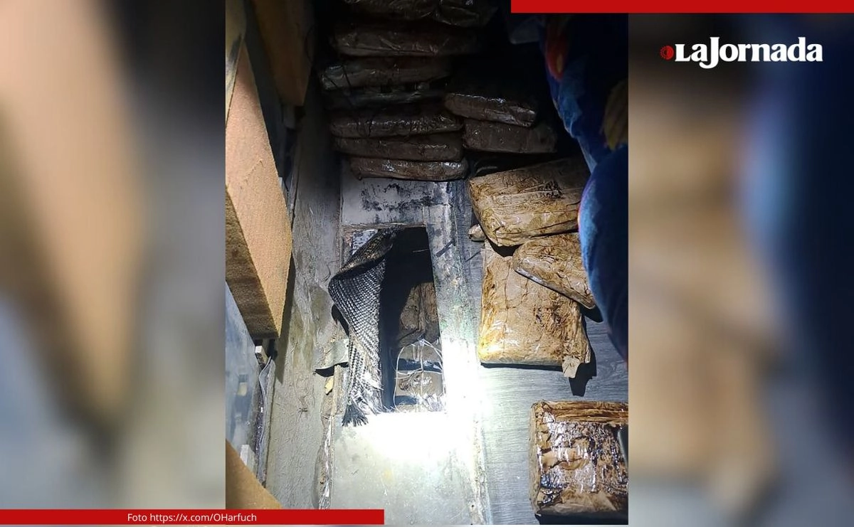 Droga confiscada por las autoridades federales 