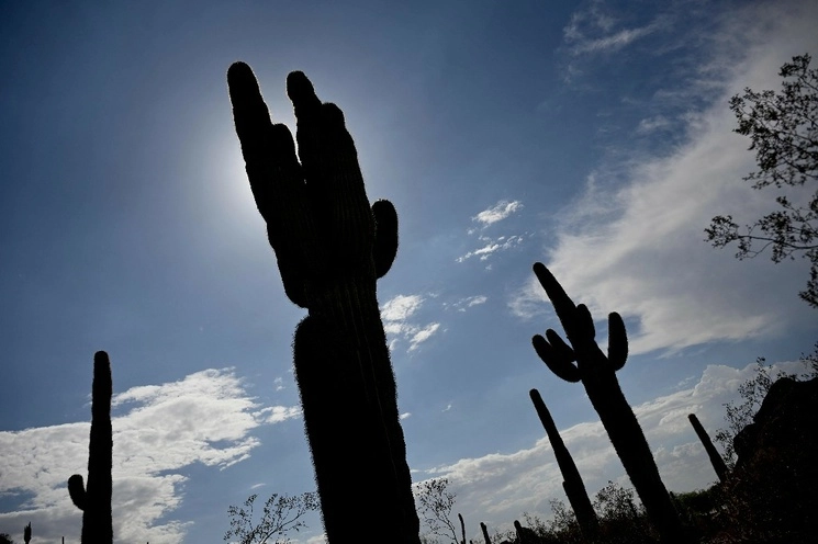 Durante tres días del mes de julio, Phoenix, Arizona, tuvo temperaturas superiores a los 43 grados Celsius. Foto Afp