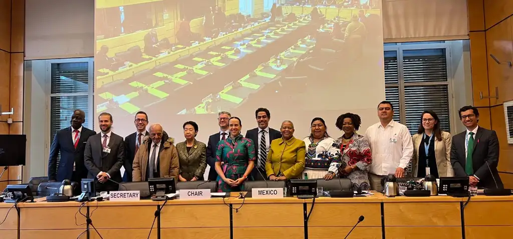 Delegación mexicana en Ginebra junto con otras personalidades que atendieron informe periódico consolidado XXII a XXIV sobre el
cumplimiento de la Convención Internacional sobre la Eliminación de todas las Formas de
Discriminación Racial ante el Comité para la Eliminación de la Discriminación Racial de las
Naciones Unidas. Imagen cortesía Conapred