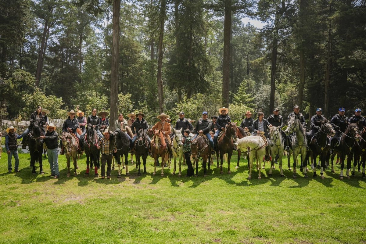 Los elementos de la PA estarán en caballos en esas zonas boscosa para recorrido de prevención de la tala. Foto 