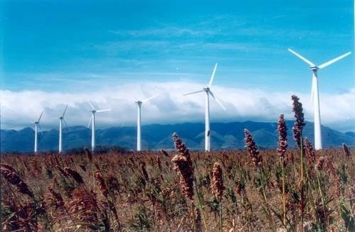 Región de La Ventosa, en el Istmo de Tehuantepec, Oaxaca. Foto La Jornada/ archivo