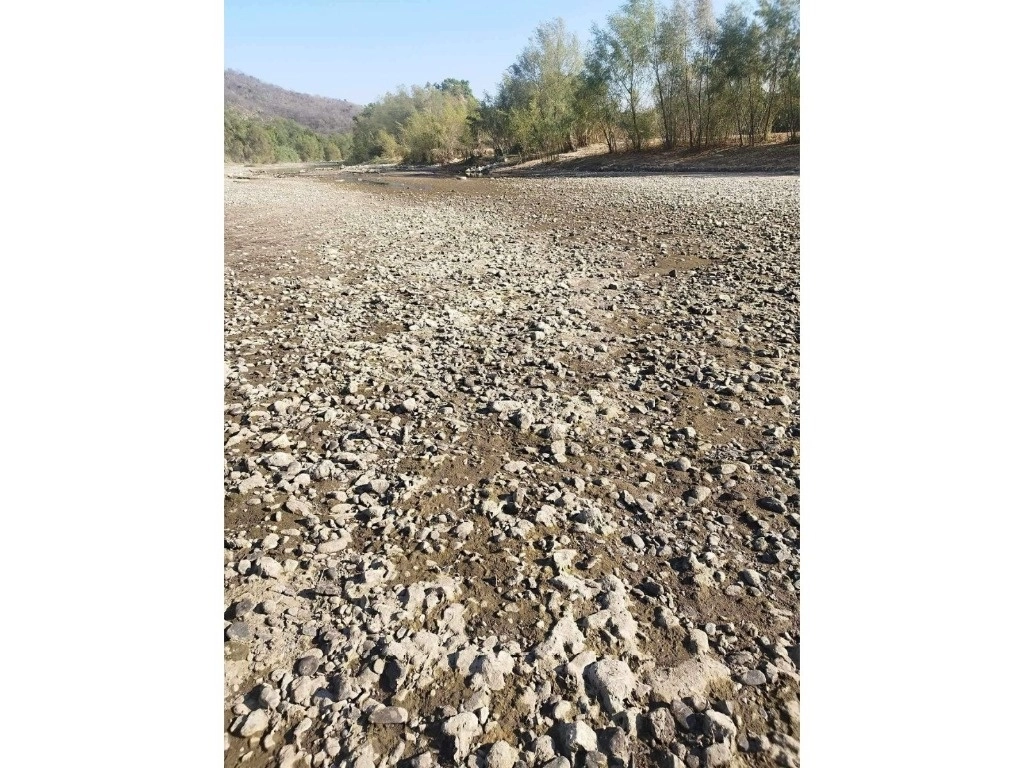 El río Mixteco, ubicado entre Puebla y Oaxaca, está casi extinto; en lo que antes era una corriente de 26 mil litros de agua por segundo, ahora sólo es posible encontrar franjas de tierra seca y pequeños charcos, algunos con peces muertos. Foto cortesía de Eli Rojano