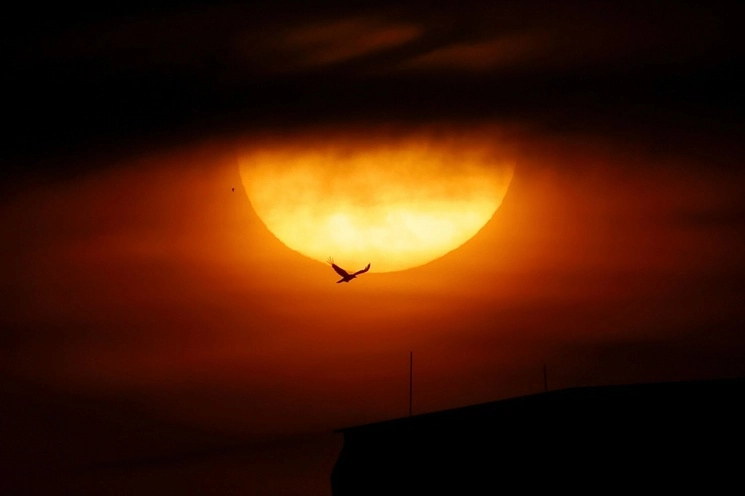 Un pájaro vuela más allá de la puesta de sol detrás de las nubes y los tejados en el distrito Kreuzberg de Berlín, Alemania, el 14 de junio de 2023. Foto Afp