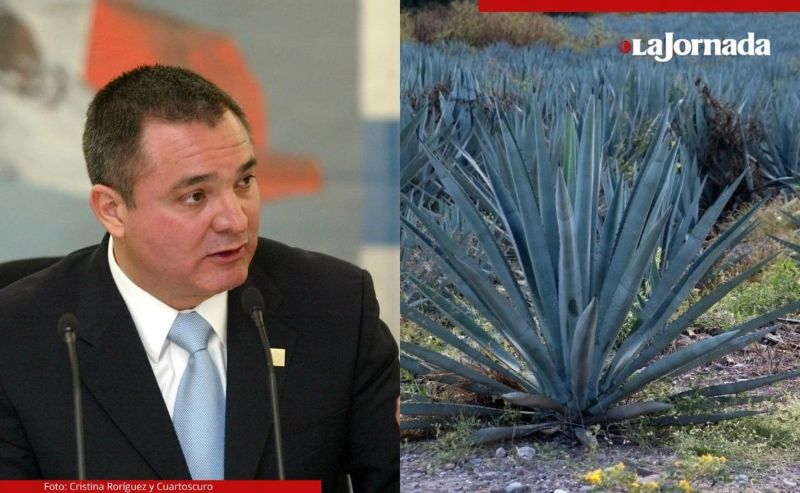 Empresarios de Florida iniciaron un procedimiento entre privados donde delatan a Jonathan Alexis Weinberg Pinto de presuntamente haber lavado dinero, por lo menos 150 mil dólares, a través de una empresa de tequila. Fotos