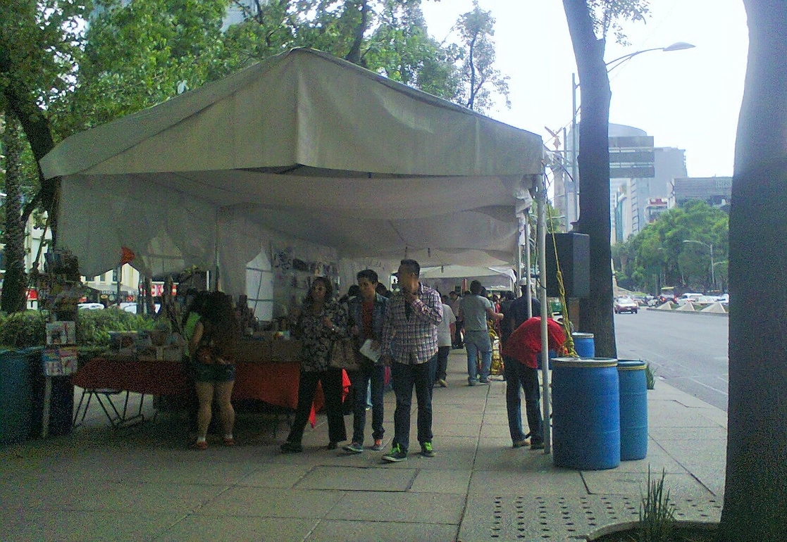 Tianguis del libro sobre Reforma en la Ciudad de México. Foto Javier Hernández Chelico