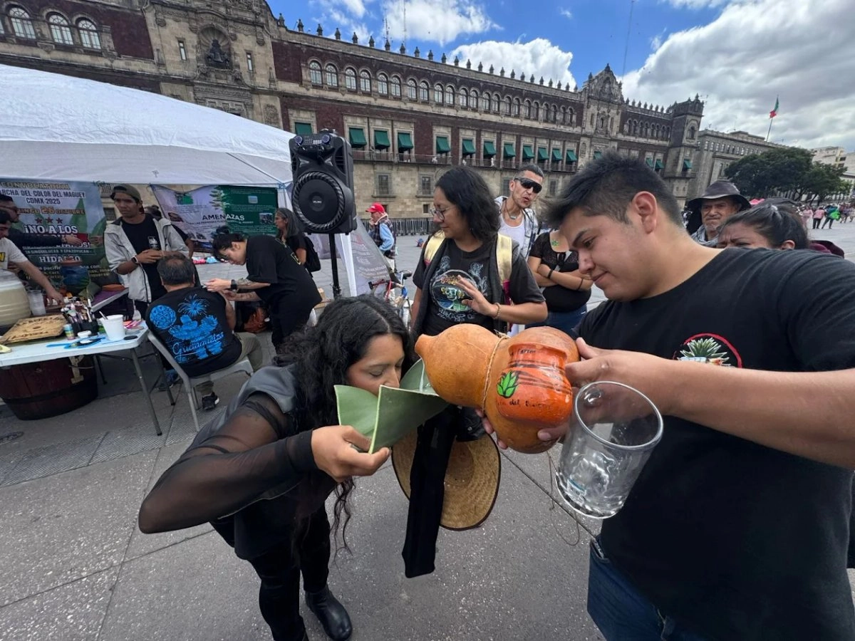 Habitantes de Hidalgo contra el proyecto del Parque Fotovoltaicos ofrecieron pulque en el Zócalo de la Ciudad de México. 