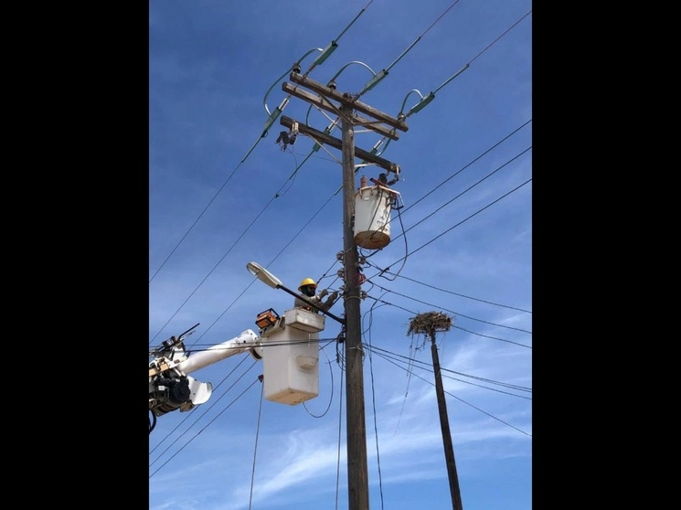 El reporte de la Comisión Federal de Electricidad del estado, señaló que se perjudicó a 89 mil 918 usuarios. Foto tomada de Twitter @CFEmx