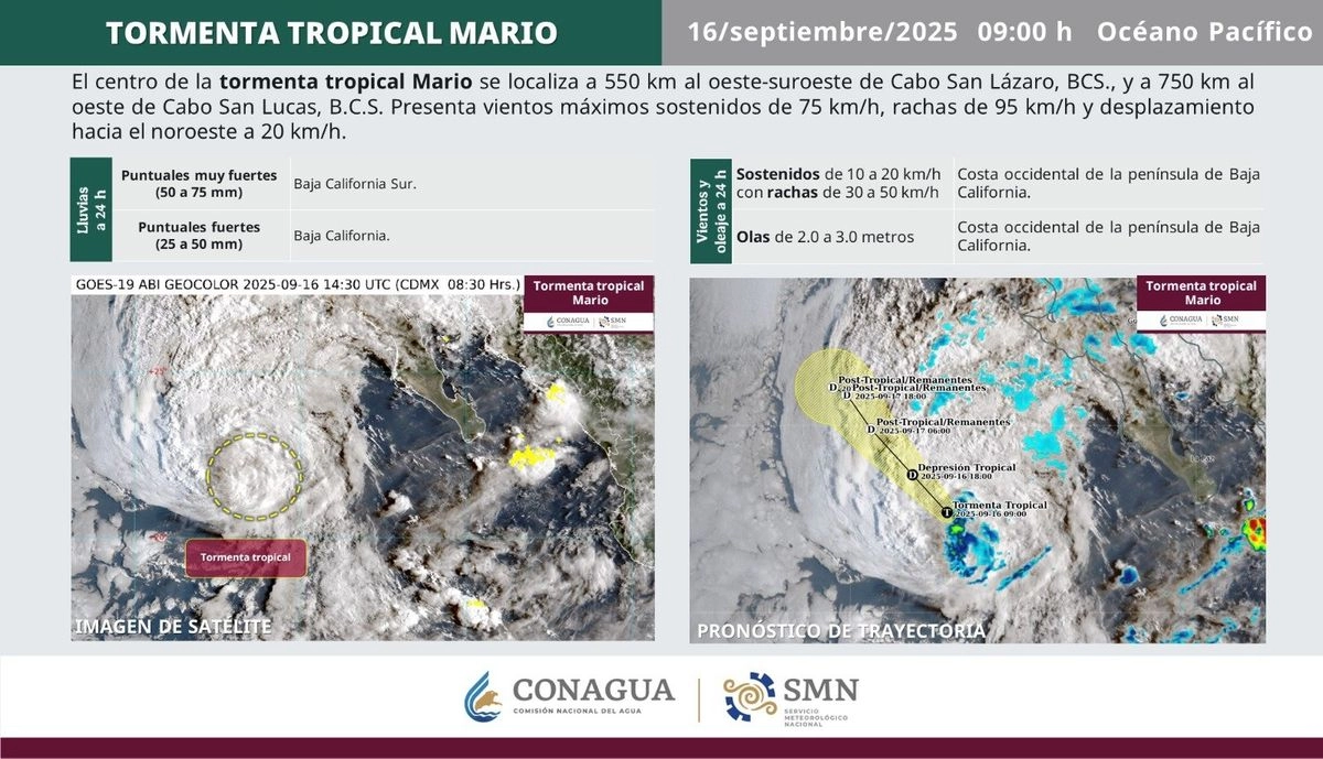 La tormenta tropical ‘Mario’ continúa alejándose de las costas mexicanas, pero seguirá provocando lluvias muy fuertes en Baja California Sur y en Baja California. Imagen tomada de 