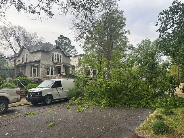 Tornados y tormentas azotaron este miércoles partes del sur y la región centro norte de Estados Unidos y causaron la caída de árboles y cableado eléctrico. Foto 