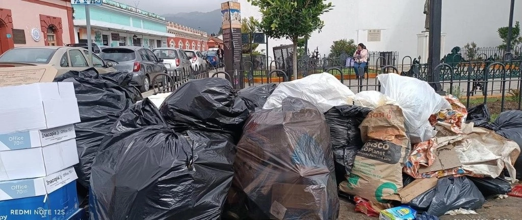 Montículo de basura acumulada. Foto Elio Henríquez
