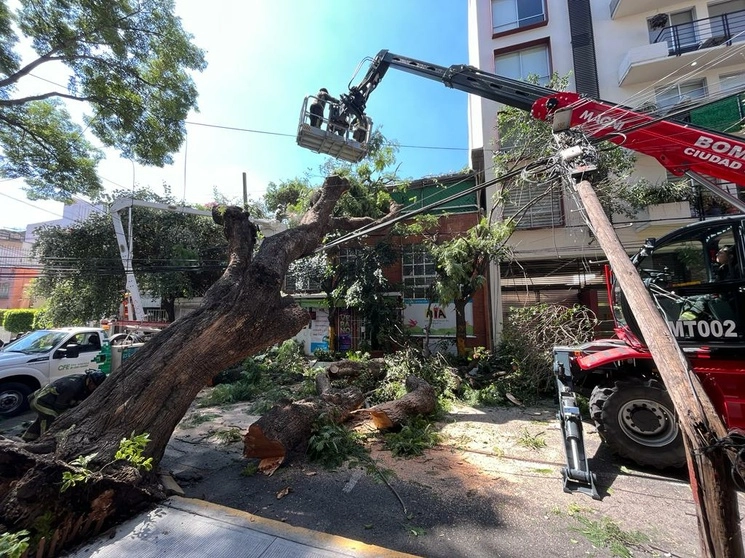 Un árbol de más de 15 metros cayó sobre la fachada de un kínder en la calle Oklahoma, al cruce con Pensilvania, en la colonia Nápoles, donde bomberos y personal de Protección Civil realizan labores para removerlo, en la alcaldía Benito Juárez, Ciudad de México, el 13 de julio de 2023. Foto Alfredo Domínguez