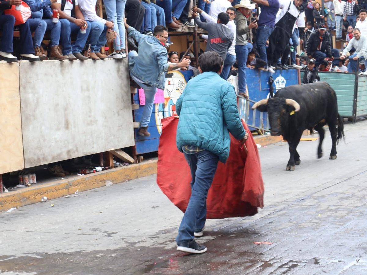 Los 18 toros que se soltaron en las calles fueron "totalmente limpios" y verificados por las peñas taurinas".

