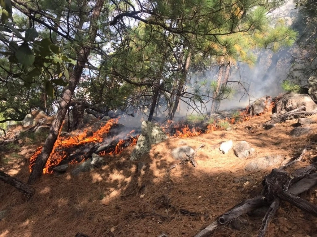 Imagen de archivo de un incendio forestal. Foto Cuartoscuro