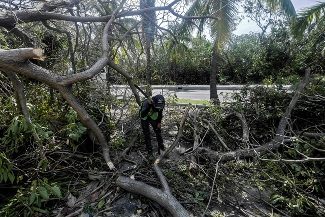 Un hombre remueve árboles caídos en Cancún, Quintana Roo tras paso del huracán ‘Delta’. Foto Afp