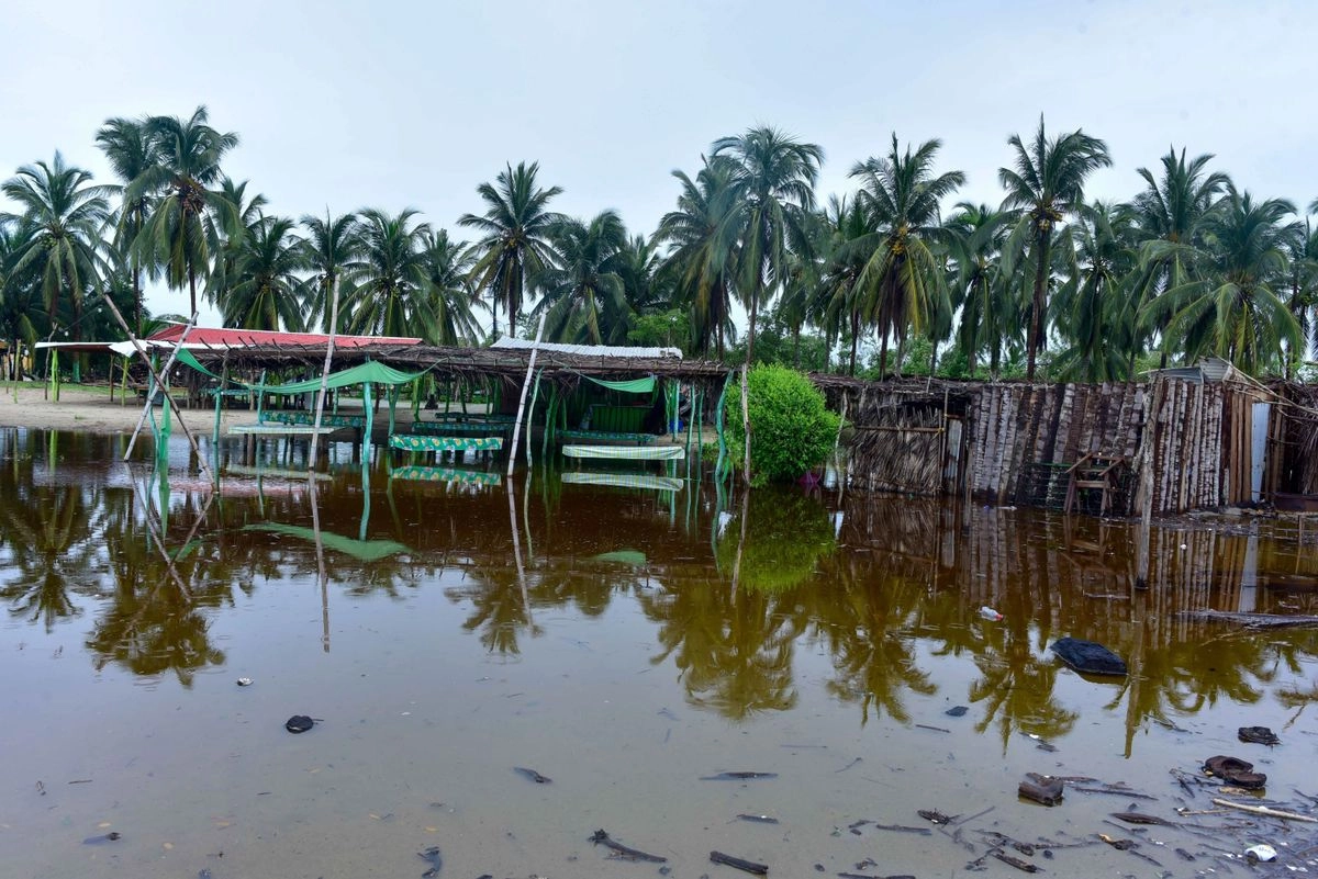 La cantante y actriz Regina Orozco comentó: “El huracán arrasó con casas, equipo de trabajo y vidas. Lo que sabemos hacer es música, así que vamos a poner eso al servicio de la gente. Ninguno de los artistas cobrará un peso, tampoco El Cantoral. Todo lo que se recaude irá directamente a las comunidades.”  Foto