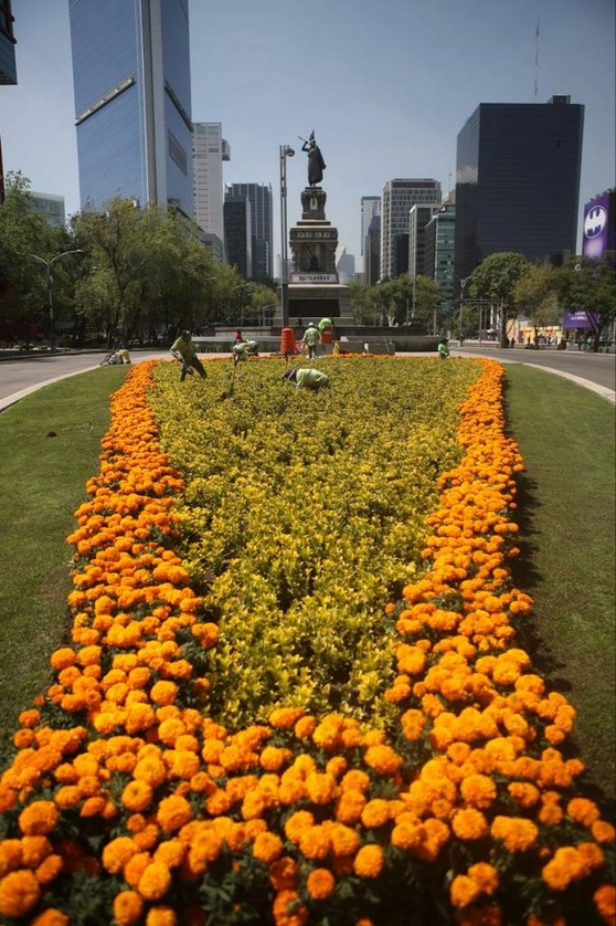 Las festividades por el Día de Muertos incluirán una ruta agroturística denominada Flores del Mictlán. Foto Yazmín Ortega Cortés