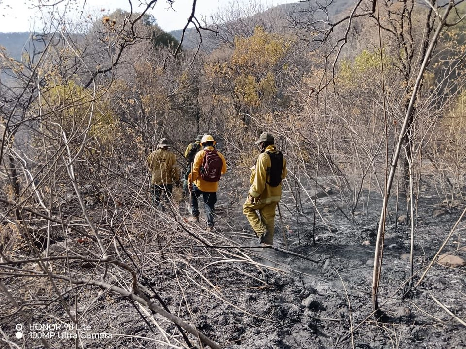 Más de 200 brigadistas combaten tres incendios forestales en distintos puntos de Zacatecas. Foto 