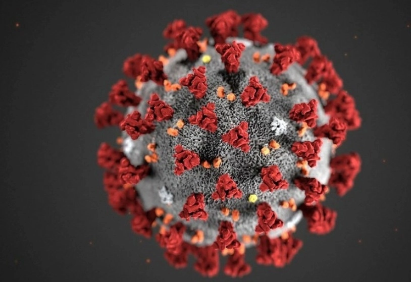 Ilustración del virus del covid-19, vía Afp / Archivo 