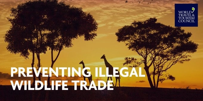 El Consejo Mundial de Viajes y Turismo lanzó un llamado a prevenir el tráfico de la vida silvestre. Foto WTTC