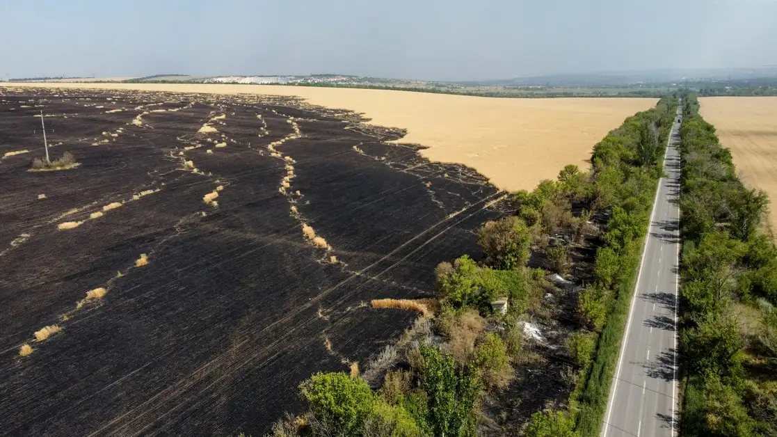 Una foto aérea del 8 de julio pasado, en la región ucrania de Donietsk, muestra plantaciones de trigo incendiadas tras los ataques rusos. Foto Afp