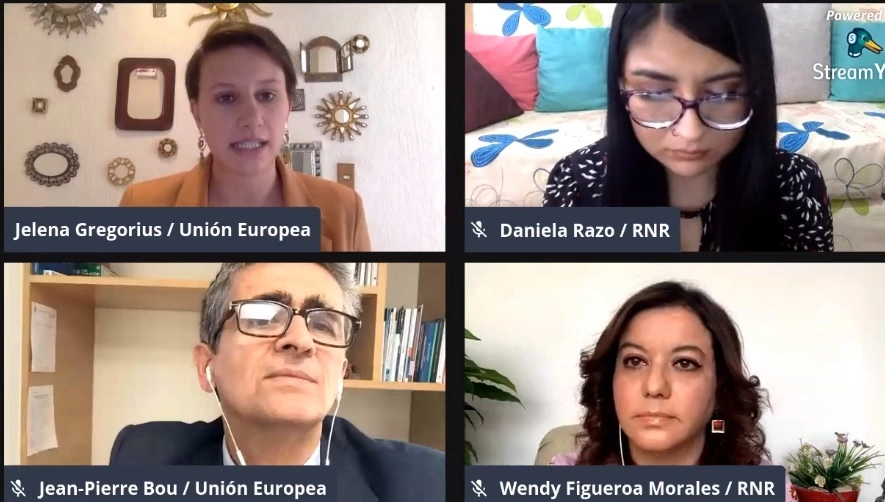 Autoridades de la Unión Europea en México y la Red Nacional de Refugios durante la reunión virtual