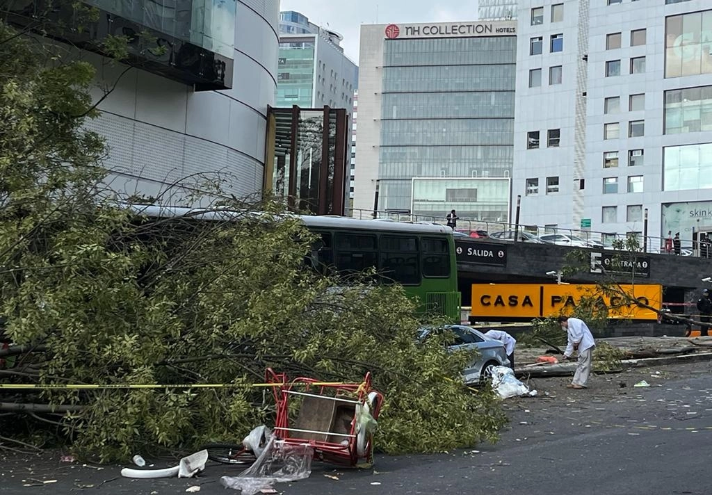 Una persona murió luego de que un camión RTP impactó contra un árbol y dos vehículos en la zona de Santa Fe, en la Ciudad de México, el 25 de agosto de 2022. Foto Alfredo Domínguez


