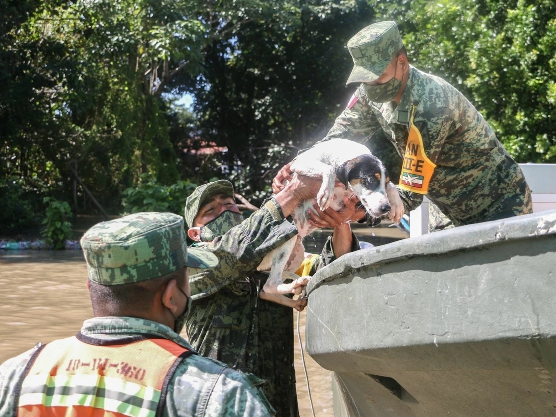 Militares en labores de rescate en Tabasco, el pasado 27 de noviembre de 2020. Foto Cuartoscuro