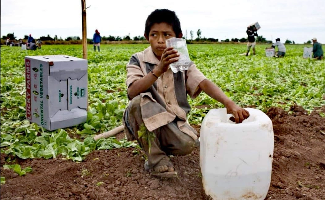 Empresarios y políticos de México y Estados Unidos desarrollan ambiciosos planes de crecimiento industrial e inmobiliario en la franja fronteriza con proyectos que requieren enormes cantidades de agua, advirtió el activista e investigador Raúl Rubio Cano. En la imagen, San Quintín, BC. Foto Lucila Hernández