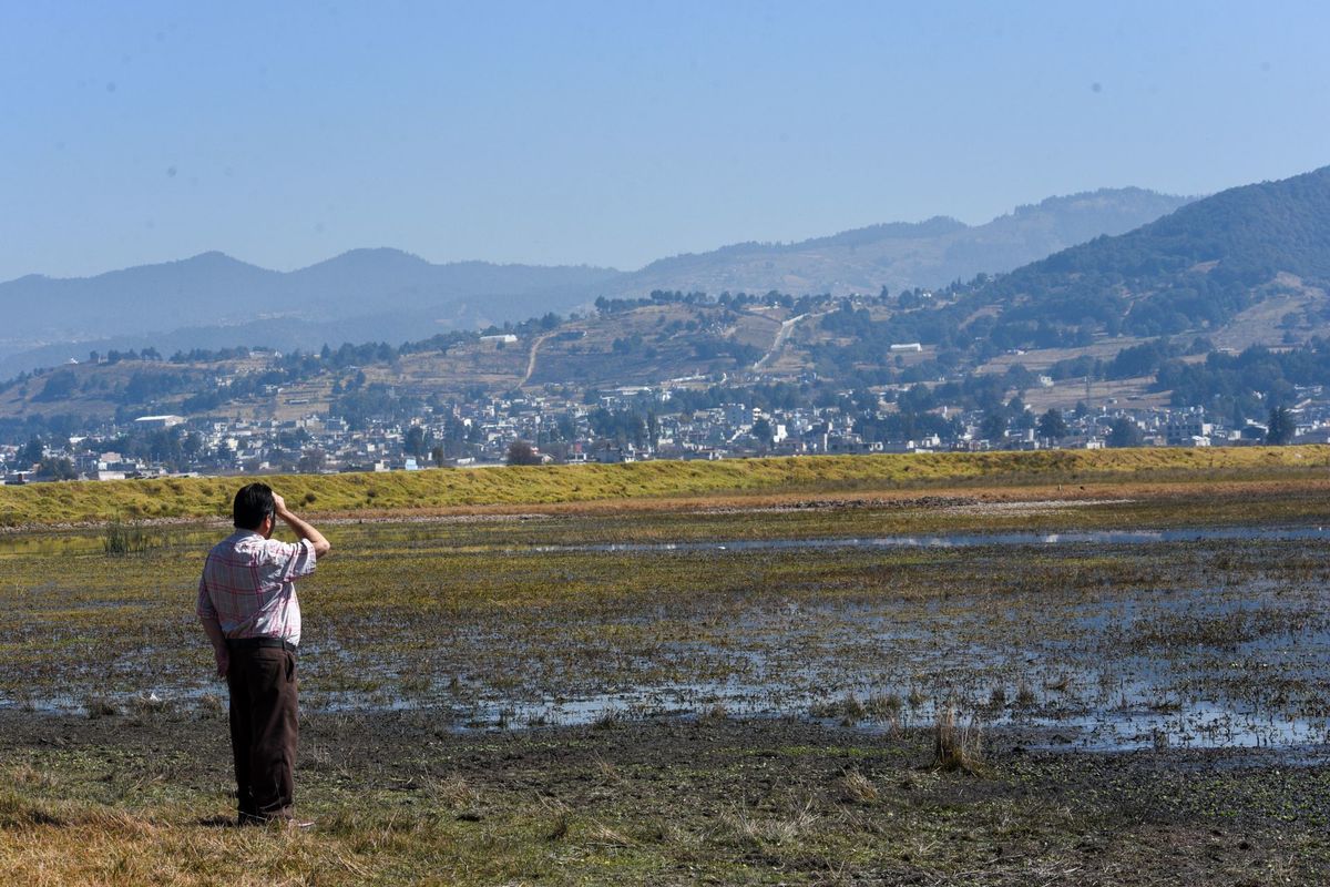 Urge apoyo ambiental México-EU