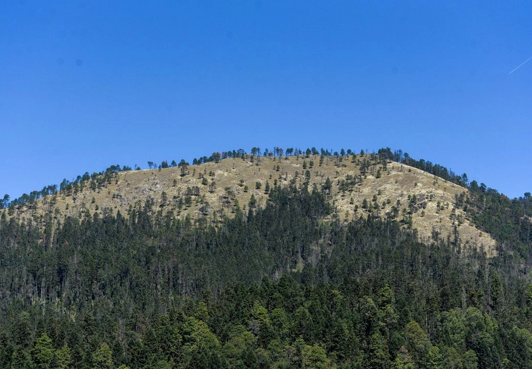 Investigadores destacan la importancia de promover una educación ambiental para poder detener la devastación de los recursos naturales. Foto 
