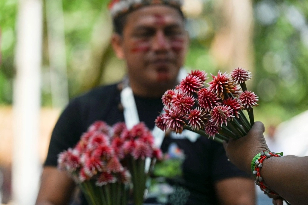 Mujer indígena de la amazonia colombiana sostiene flores de Inírida, símbolo de la cumbre COP 16, en Cali, Colombia. Foto   Afp