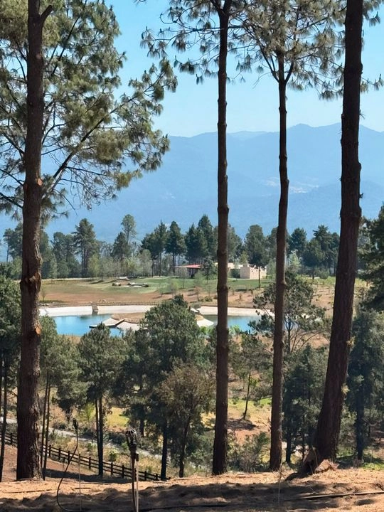 Esta forma de captar agua ha proliferado en años recientes, lo que genera desequilibrio ecológico y disminución en los niveles de la presa Miguel Alemán, que forma parte del Sistema Cutzamala. Foto 