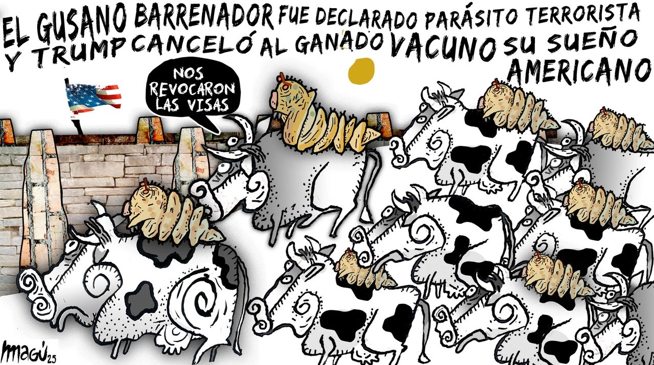 Van pa´tras