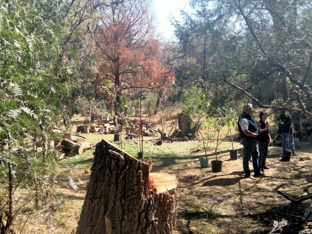 Vecinos de la colonia México Nuevo exigen la conservación de la barranca de su comunidad, habitada por fauna silvestre y cientos de árboles. Foto La Jornada