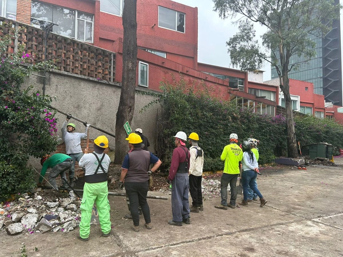 Trabajadores retiraron 90 árboles para poder iniciar con las obras en Periférico 2273. Foto