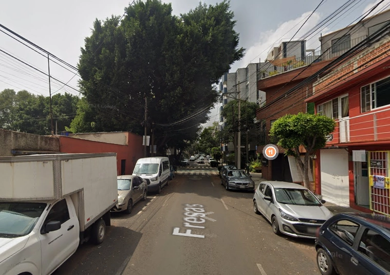 La acción legal surge tras una serie de manifestaciones desde el pasado 5 de junio, en las que los habitantes defendieron no solo al árbol principal, sino también a un colorín. Foto