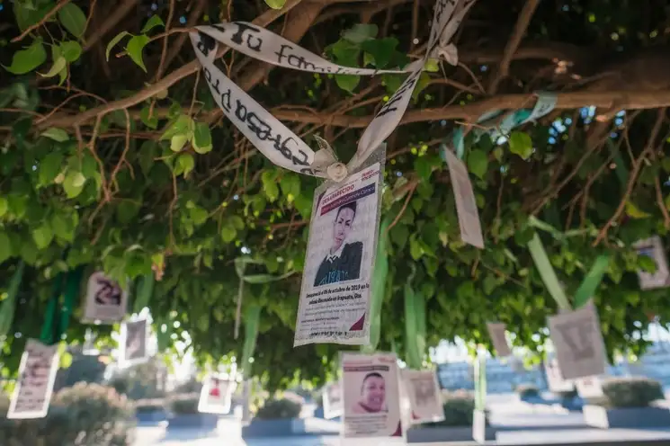 El objetivo del "Bosque de la Esperanza" es dar memoria a víctimas de desaparición forzada en México. Foto ‘La Jornada’