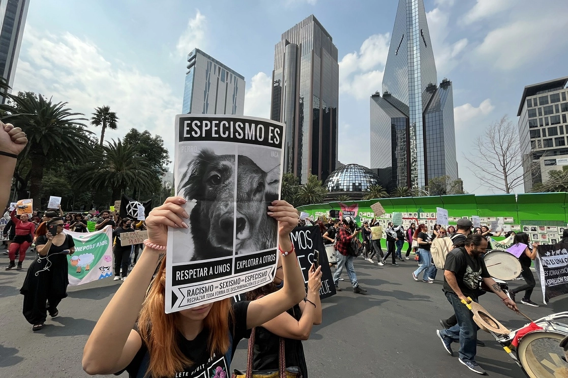 Comerciantes criticaron la minuta que pretende prohibir la venta de animales de compañía en mercados públicos. Foto María Luisa Severiano / Archivo