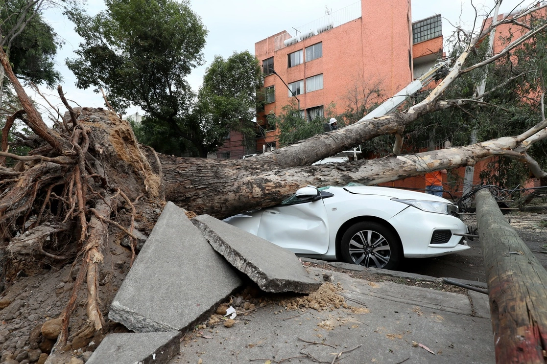 A causa de los fuertes vientos registrados esta tarde en la Ciudad de Mexico, un árbol cayó sobre algunos vehículos y postes, en el cruce de las calles, Doctor Lucio y Doctor Martínez del Río. Foto Roberto García Ortiz