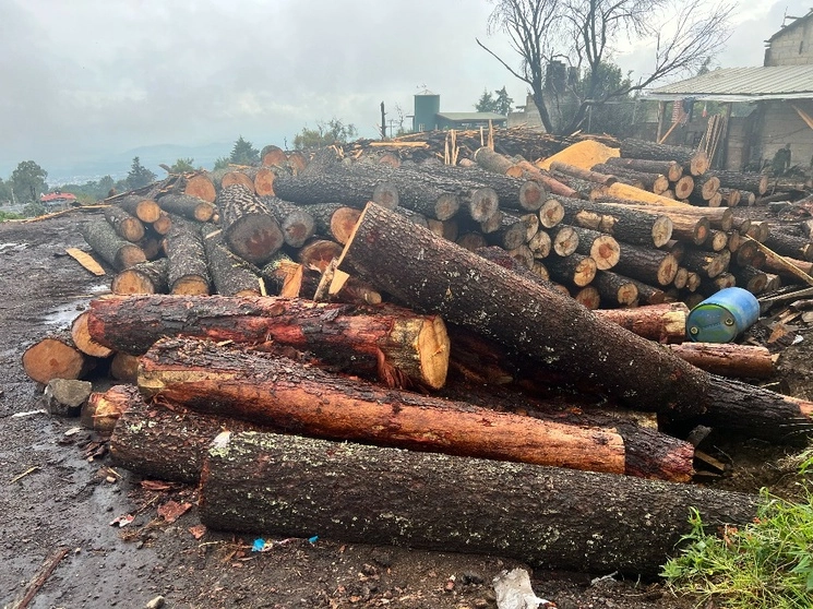 Los elementos de la Sedena permanecen en Huitzilac para terminar el traslado de madera decomisada, el 3 de agosto de 2023. Foto Rubicela Morelos Cruz