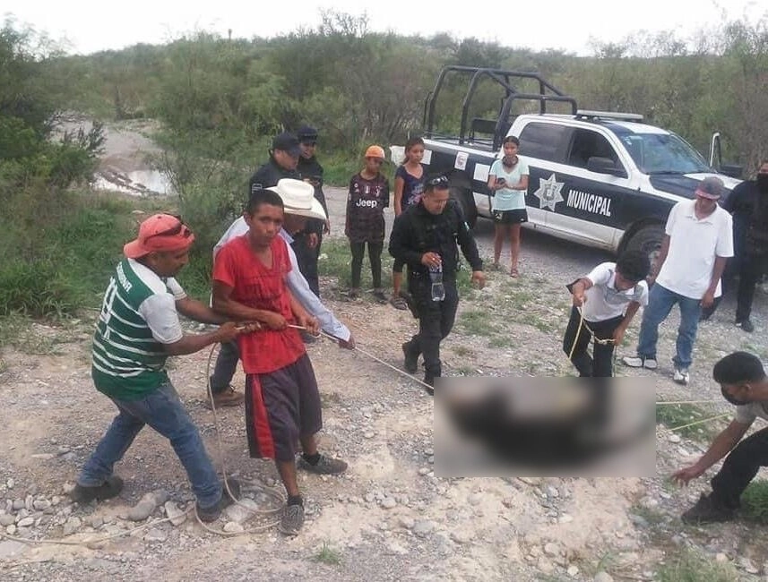 Los siete señalados por la muerte de la osezna enfrentarán su proceso en libertad. Foto tomada de redes sociales