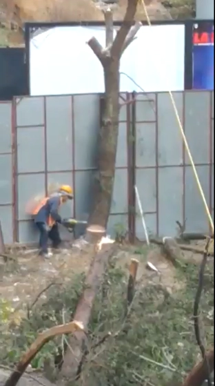 Captura de pantalla de un video que compartió en sus redes sociales Layda Sansores. Foto @LaydaSansores