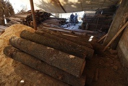Madera decomisada en un operativo en Tlalpan. Foto Alfredo Domínguez/ archivo