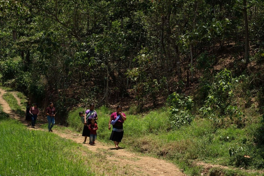 Decenas de familias desplazadas por la violencia en la sierra de Chihuahua, piden apoyo a las autoridades para regresar a sus comunidades. Foto 