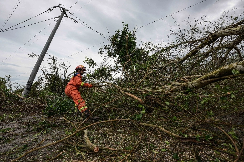 Un rescatista removiendo ramas caídas que bloquean un camino, en el distrito de Chengmai, en la provincia de Hainan, en el sur de China, tras el paso del tifón 'Yagi. Foto Xinhua