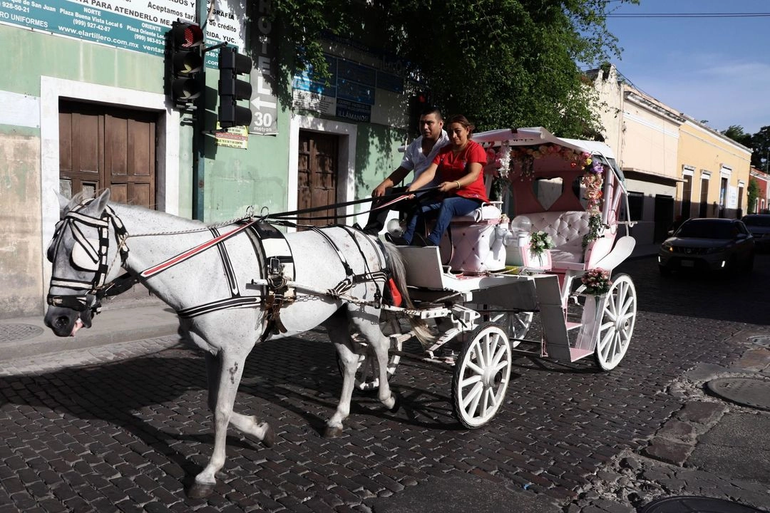 Yucatán se mantiene como la entidad con menos homicidios por habitante en el país. Foto